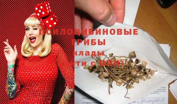 каннабис Гусев