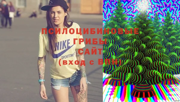 твердый Вязники