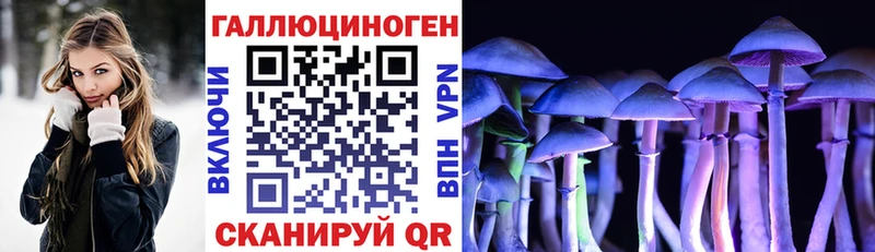 Псилоцибиновые грибы Magic Shrooms  блэк спрут ССЫЛКА  Кяхта 